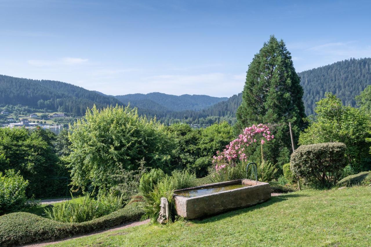 Le Manoir Au Lac Gerardmer Luaran gambar
