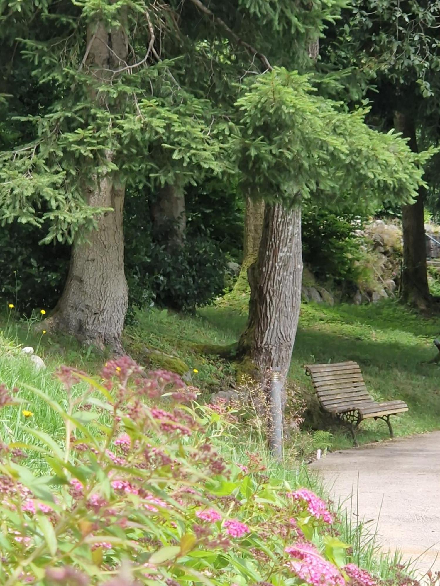 Le Manoir Au Lac Gerardmer Luaran gambar